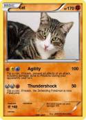 cat