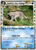 panthère des