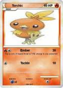 Torchic