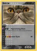 Evil Cat