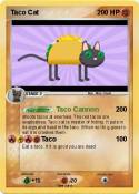 Taco Cat