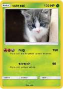 cute cat