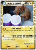 cachorro eletir