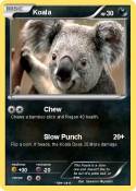 Koala