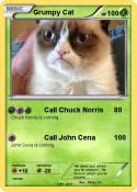 Grumpy Cat