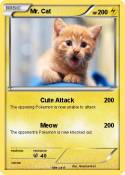 Mr. Cat