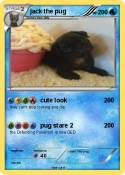 jack the pug