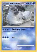 phoque veau mar