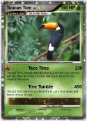 Toucan Tom