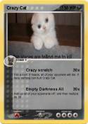 Crazy Cat