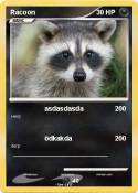 Racoon