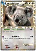 jamesthekoala