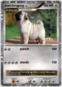 punchingpug
