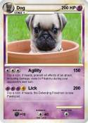 Dog