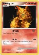 Flaming cat