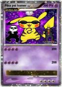 Pika psi homer