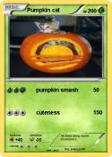 Pumpkin cat