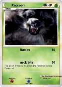 Raccoon