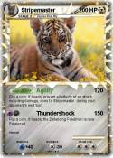 Stripemaster