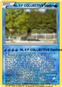 NL 6 F COLLECTI