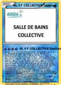 NL 6 F COLLECTI
