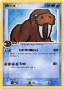 Walrus