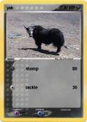 yak