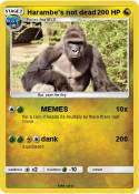 Harambe's not