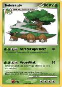 Torterra