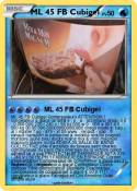 ML 45 FB Cubige