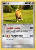 nala ex