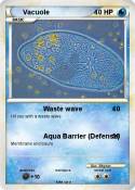 Vacuole