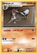 karatcat