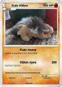 Kute Kitten
