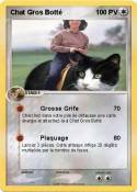 Chat Gros Botté