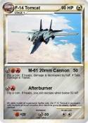 F-14 Tomcat
