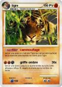 tigre
