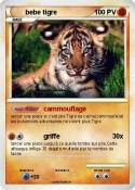 bebe tigre