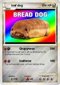 loaf dog