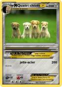 Quatri chiots