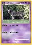 irish wolfhound