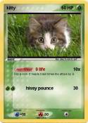 kitty