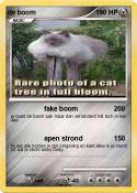 de boom