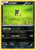 the kitten