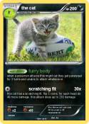 the cat