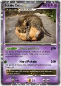 Potato Cat