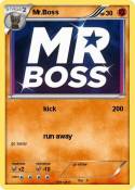 Mr.Boss