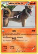 shiba primal
