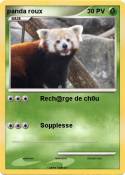 panda roux
