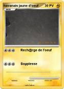 havanais jaune